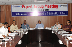 Expert Group Committee